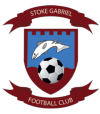 Stoke Gabriel Football Club Sport South Devon