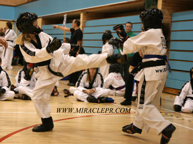 TAGB Southern South West Championships Sport South Devon