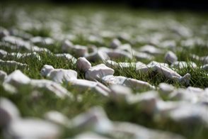 shrouds of somme sport south devon