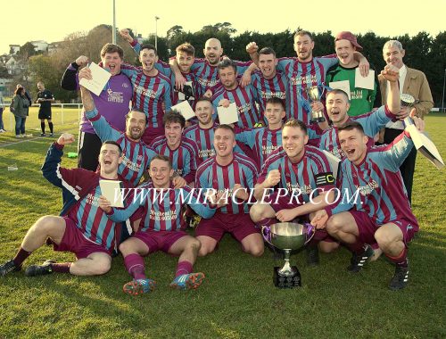 walden athletic herald cup final 2016 sport south devon buckland athletic reserves sdfl