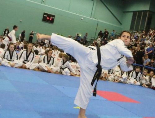 shawn ball TAGB english championship 2016 martialarts4fun sport south devon