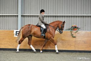 SHOW HUNTER 1ST