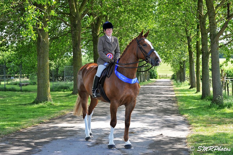 vicki rogers equestrian horse riding sport south devon